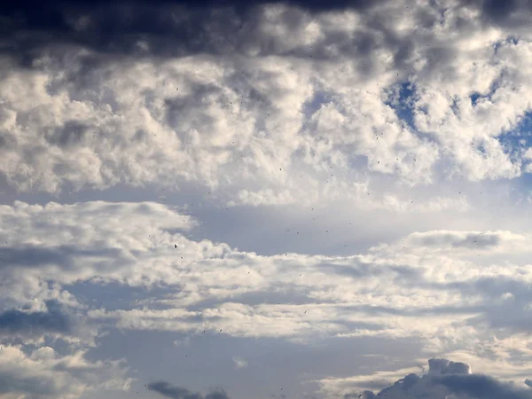 Красивые Облака Солнечном Вечернем Небе Над Горизонтом — стоковое фото