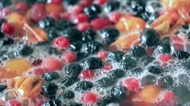 Fresh Fruit Berries Boiling Water While Preparing Drink — Stock Video