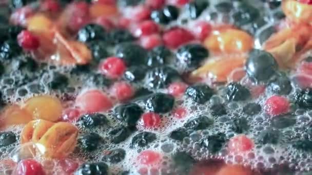 Φρέσκα Φρούτα Και Μούρα Βραστό Νερό Ενώ Ετοιμάζετε Ένα Ποτό — Αρχείο Βίντεο