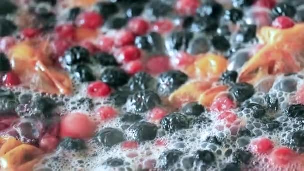 Φρέσκα Φρούτα Και Μούρα Βραστό Νερό Ενώ Ετοιμάζετε Ένα Ποτό — Αρχείο Βίντεο