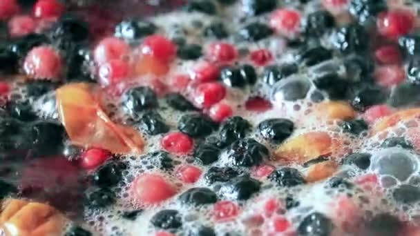 新鲜水果和浆果在煮沸的水中 同时准备饮料 — 图库视频影像