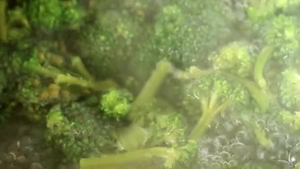 Matlagning För Äter Kokande Vatten Färsk Broccoli — Stockvideo