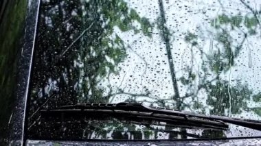 yaz yağmuru sırasında arabada bardak su akışı büyük damla aşağı