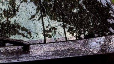 yaz yağmuru sırasında arabada bardak su akışı büyük damla aşağı