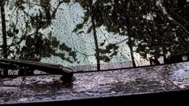 yaz yağmuru sırasında arabada bardak su akışı büyük damla aşağı