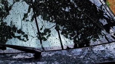 yaz yağmuru sırasında arabada bardak su akışı büyük damla aşağı