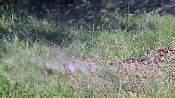 Een Stroom Van Schoon Water Valt Het Gras Wanneer Een — Stockvideo