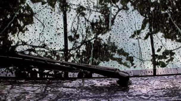 夏季雨中 大量的水滴顺着汽车的玻璃流下来 — 图库视频影像