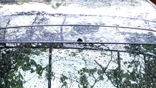 Grandes Gotas Água Fluem Pelo Vidro Carro Durante Chuva Verão — Vídeo de Stock