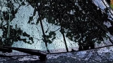 yaz yağmuru sırasında arabada bardak su akışı büyük damla aşağı