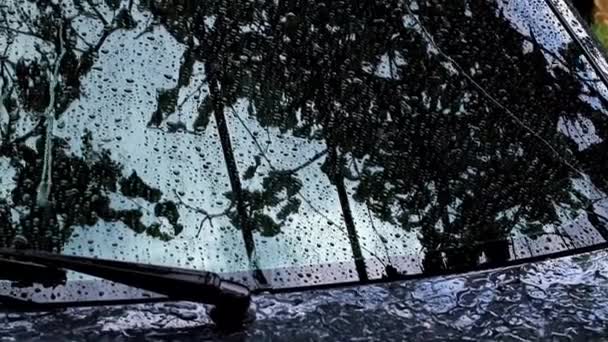 Grandes Gotas Água Fluem Pelo Vidro Carro Durante Chuva Verão — Vídeo de Stock