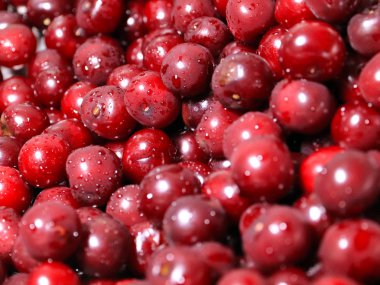 Olgun nemli taze berry kiraz işlenmeye hazır