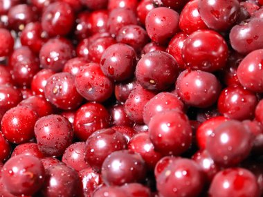 Olgun nemli taze berry kiraz işlenmeye hazır