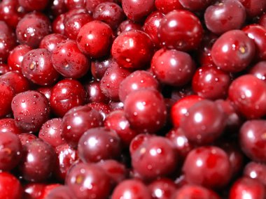 Olgun nemli taze berry kiraz işlenmeye hazır