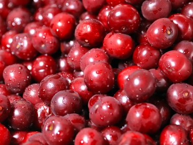 Olgun nemli taze berry kiraz işlenmeye hazır