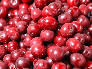 Olgun nemli taze berry kiraz işlenmeye hazır