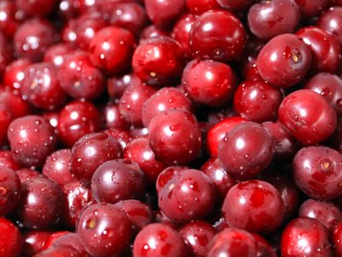 Olgun nemli taze berry kiraz işlenmeye hazır
