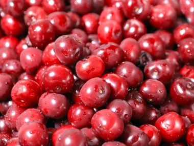 Olgun nemli taze berry kiraz işlenmeye hazır