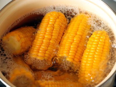 kaynar suda ise yemek yemek için olgunlaşmış taze mısır