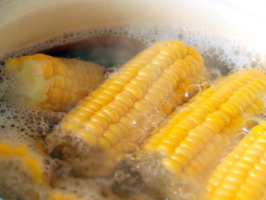 kaynar suda ise yemek yemek için olgunlaşmış taze mısır