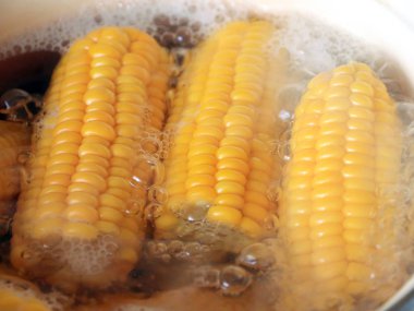 kaynar suda ise yemek yemek için olgunlaşmış taze mısır