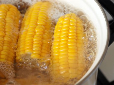 kaynar suda ise yemek yemek için olgunlaşmış taze mısır