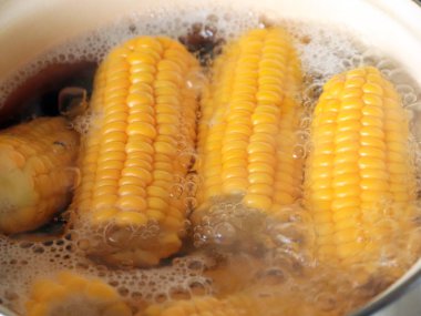 kaynar suda ise yemek yemek için olgunlaşmış taze mısır