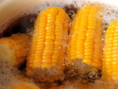 kaynar suda ise yemek yemek için olgunlaşmış taze mısır