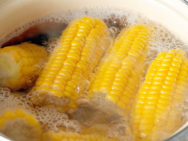 kaynar suda ise yemek yemek için olgunlaşmış taze mısır