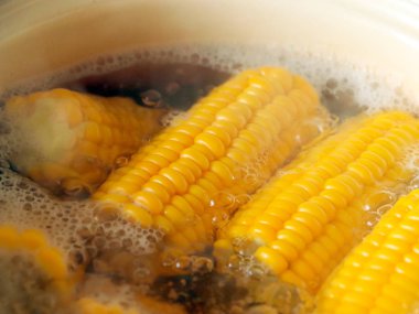 kaynar suda ise yemek yemek için olgunlaşmış taze mısır
