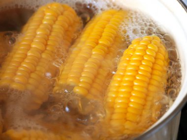 kaynar suda ise yemek yemek için olgunlaşmış taze mısır