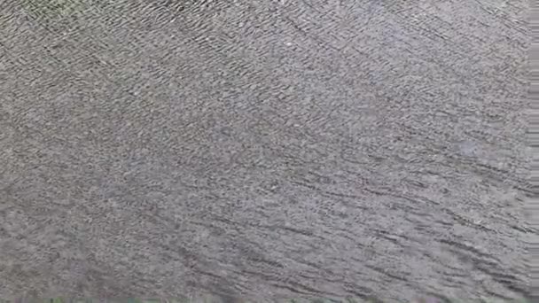 Отражение Неба Поверхности Спокойной Реки — стоковое видео