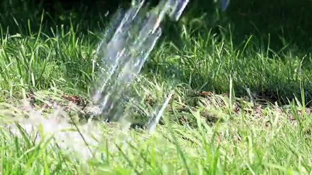 Jato Água Limpa Uma Grama Fresca Verde Gramado — Vídeo de Stock