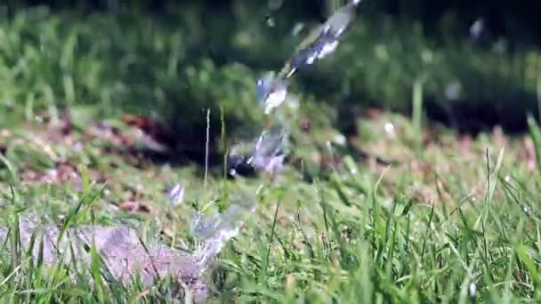 きれいな水と緑の新鮮な草の芝生の上のジェット — ストック動画