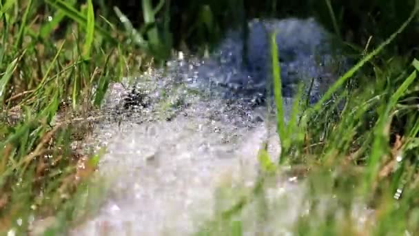 Струмінь Чистої Води Зелена Свіжа Трава Газоні — стокове відео