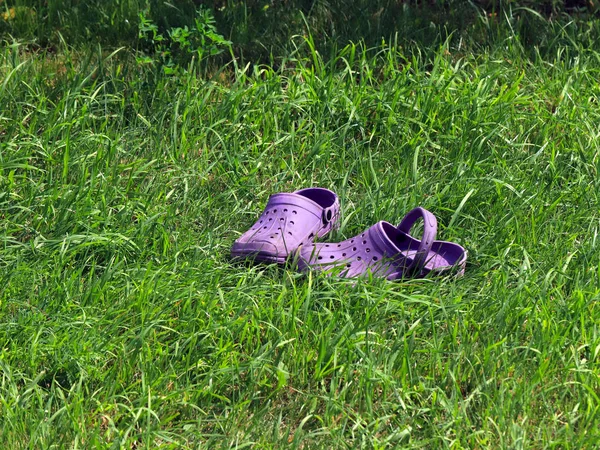 rubber shoes for working in the garden stand on a beautiful green grass