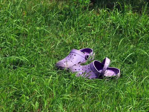 rubber shoes for working in the garden stand on a beautiful green grass