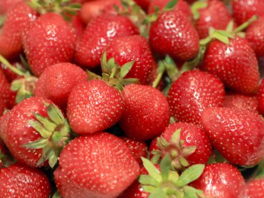 yemek için güzel olgun çilek berry