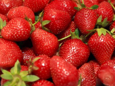 yemek için güzel olgun çilek berry