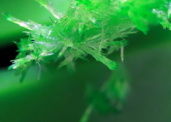 Χαριτωμένη Φωτεινά Πράσινα Κρύσταλλα Αυξηθεί Τεχνητά Από Μεταλλικό — Φωτογραφία Αρχείου