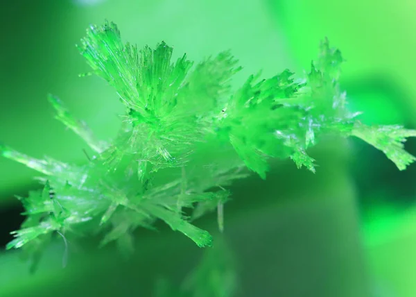 graceful bright green crystals artificially grown from mineral