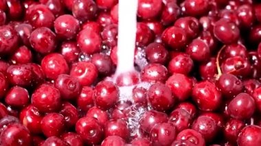 akan suyun içinde taze olgun kiraz berry