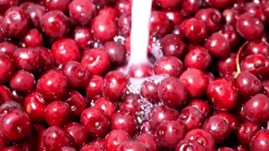 akan suyun içinde taze olgun kiraz berry
