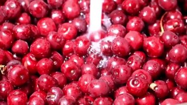 akan suyun içinde taze olgun kiraz berry