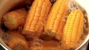 kaynar suda taze mısır yemek için yemek