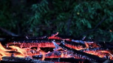 Mangal sıcak alev parlak dilleri