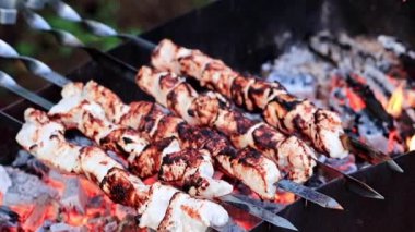 kömür ızgara şiş üzerinde kavrulmuş et pişirme işlemi