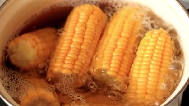 Cuisson Pour Manger Maïs Frais Dans Eau Bouillante — Video