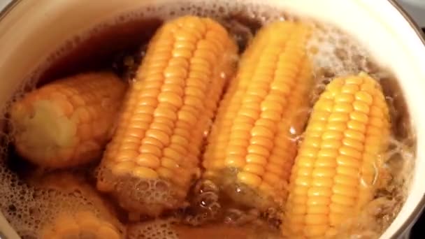 Приготовление Пищи Свежей Кукурузы Кипящей Воде — стоковое видео