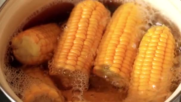 Приготування Їжі Свіжої Кукурудзи Киплячій Воді — стокове відео